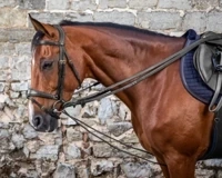 czarny