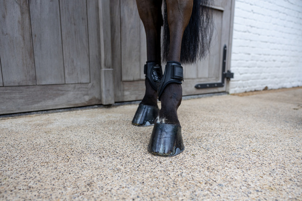 Ochraniacze tylne Kentucky Horsewear Young Horse TPU