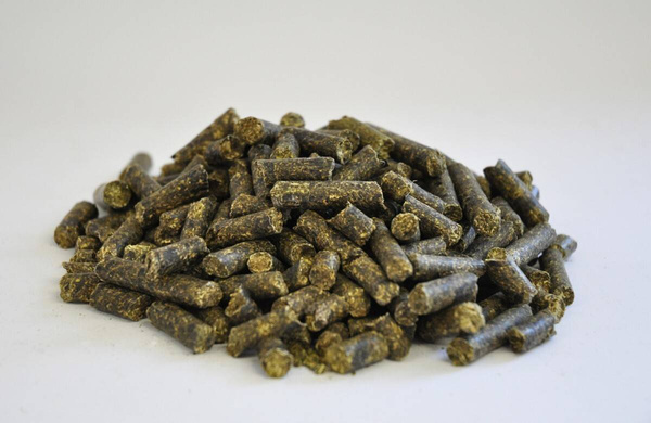 Niskocukrowa mieszanka lucerny i niemelasowanych wysłodków buraczanych Dengie ALFA- BEET 20kg