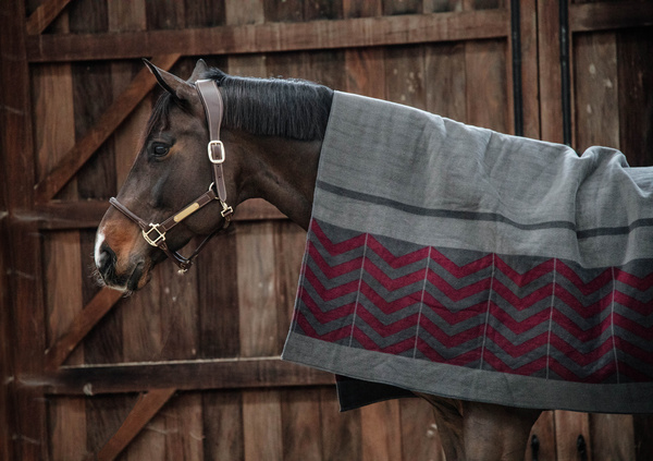 Derka polarowa Kentucky Horsewear Heavy Fleece Rug Square