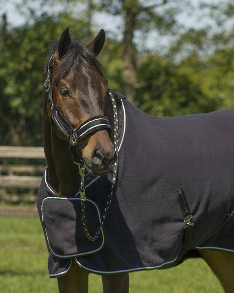 Kantar z uwiązem QHP Dolci