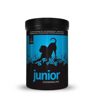 Suplement wspierający aparat ruchu u szczeniąt Pokusa Chondro Line Junior