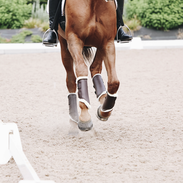 Ochraniacze ujeżdzeniowe z futrem na tylne nogi Kentucky Horsewear Turnout Boots Leather