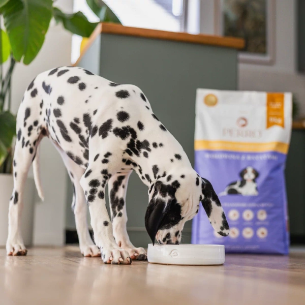 Karma sucha dla szczeniąt wszystkich ras Perro - Wołowina z batatami 1kg