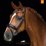 Ogłowie z nachrapnikiem kombinowanym Schockemöhle Sports Concord