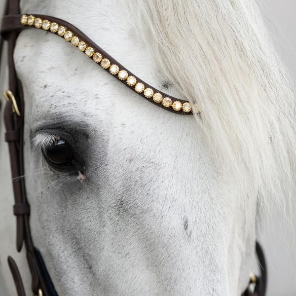 Ogłowie z nachrapnikiem kombinowanym Kavalkade Caliano