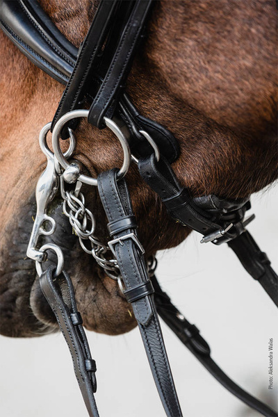 Ogłowie munsztukowe z nachrapnikiem szwedzkim Schockemöhle Sports Milton