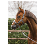 Kantar z uwiązem ANKY® Stones