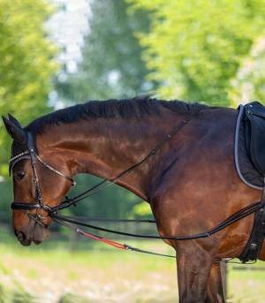 Wypinacze trójkątne Waldhausen W-TRAINREIN