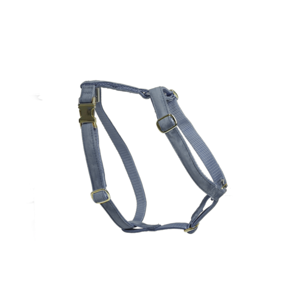 Szelki dla psa Kentucky Dogwear Loop Velvet