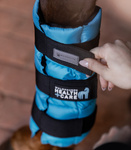 Ochraniacz chłodzący Waldhausen