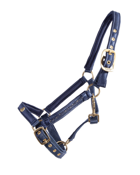 Kantar źrebięcy QHP Lily