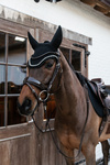 Nauszniki  wyciszające Kentucky Horsewear Wellington Big Stone&Pearl