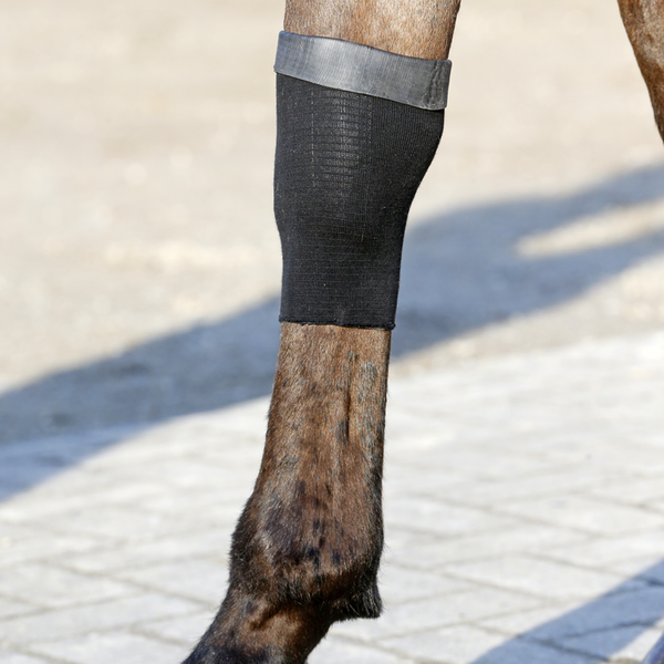 Skarpeta żelowa Kentucky Horsewear Tendon Grip