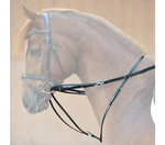 Wodze Thiedemanna Kavalkade