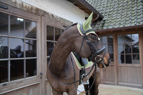 Nauszniki wyciszające Kentucky Horsewear Wellington Softshell