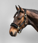 Kantar Waldhausen Exclusive 