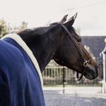 Derka polarowa Kentucky Horsewear Fleece Show Rug Heavy