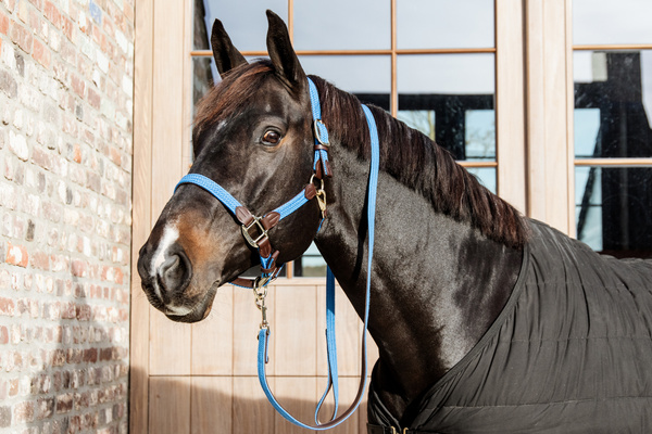 Uwiąz Kentucky Horsewear Plaited Nylon