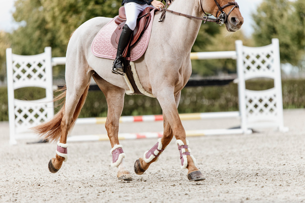 Ochraniacze przednie z futrem Kentucky Horsewear Bamboo Elastic
