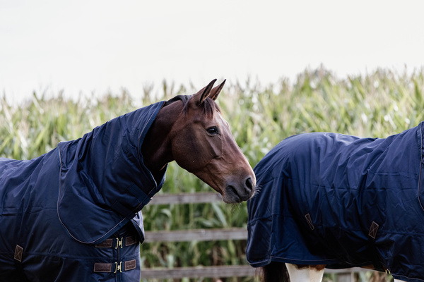 Derka padokowa Kentucky Horsewear All Weather Waterproof Pro 0g