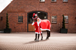 Czapka świąteczna dla konia Horze Christmas Horse Cap
