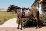 Czaprak wszechstronny Kentucky Horsewear Pied De Poule