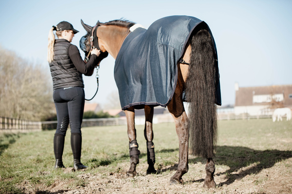 Derka siatkowa przeciw owadom Kentucky Horsewear Mesh Fly Sheet