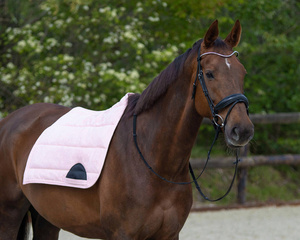 Pad ujeżdżeniowy QHP Super Grip