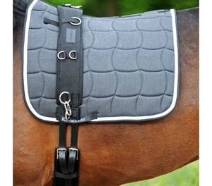 Pas do lonżowania Kavalkade