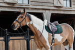 Czaprak wszechstronny Kentucky Horsewear Velvet Skin Friendly