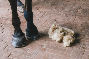 Terapeutyczna wełna owcza do leczenia skóry, obrzęków i wsparcia ścięgien konia Grooming Deluxe Therapeutic Wool 150 g 