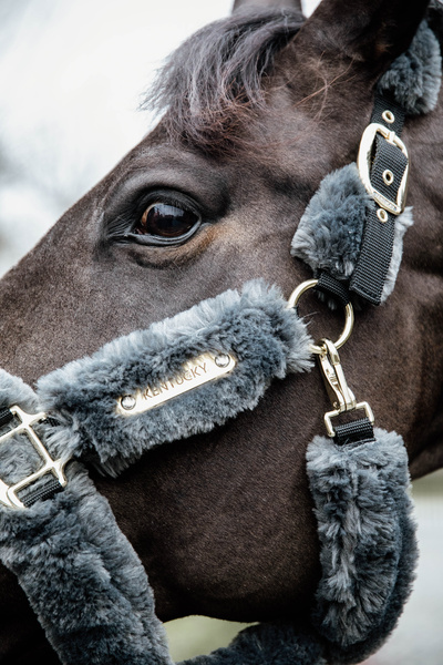 Kantar obszyty w całości syntetycznym futrem Kentucky Horsewear Sheepskin Shipping