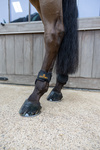 Ochraniacze tylne Kentucky Horsewear Young Horse Classic