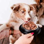 Karma mokra Perro Gourmet - Jeleń z gruszką 