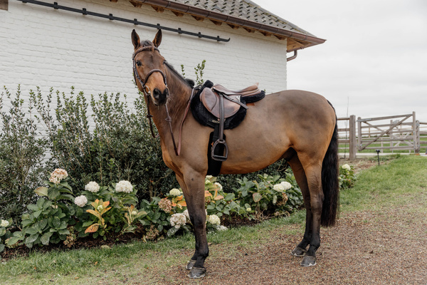 Czaprak wszechstronny Kentucky Horsewear Hunter Vegan Sheepskin