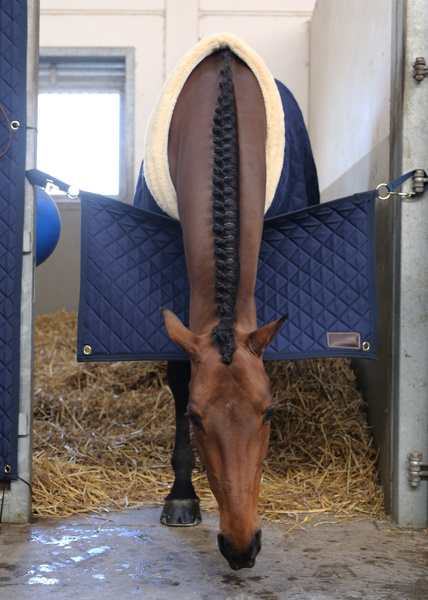 Bramka na boks Kentucky Horsewear Stable Guard