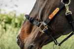 Kantar dla silnych koni Kentucky Horsewear Control Halter