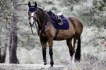 Czaprak wszechstronny Kentucky Horsewear Fishbone