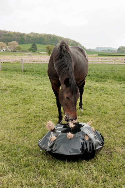 Torba na siano do boksu i na padok Grooming Deluxe Play & Haybag Slow Feeder Round