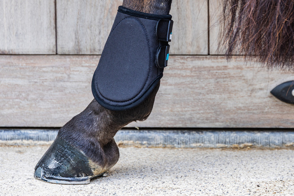 Ochraniacze crossowe z futrem Kentucky Horsewear Eventing Boots 3D Air Flow Skin Friendly Short - tylne