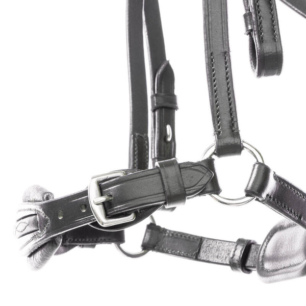 Ogłowie Kavalkade Levana