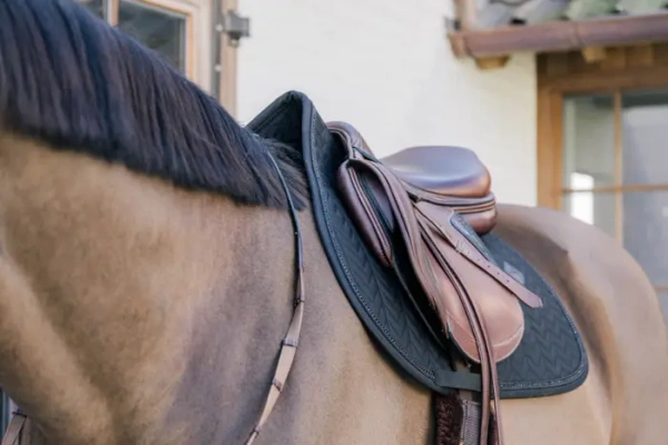 Czaprak skokowy Kentucky Horsewear Metal Chain