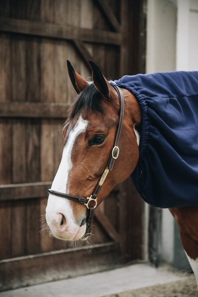 Kaptur osuszający dla konia Kentucky Horsewear Cooler Fleece Horse Scarf