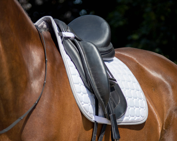 Czaprak wszechstronny QHP Florence