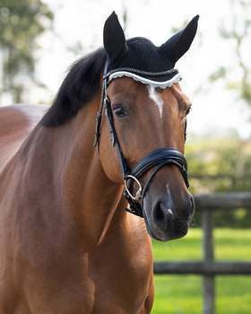 Nauszniki klasyczne QHP Color