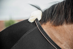 Derka siatkowo-osuszająca Kentucky Horsewear Mesh Combo Cooler Sheet