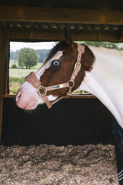 Kantar dla konia Kentucky Horsewear Teddy Fleece