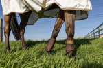 Ochraniacze treningowe Kentucky Horsewear Turnout Boots 3D Spacer - przody 