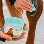 Żel chłodzący Stiefel Pferdesalbe